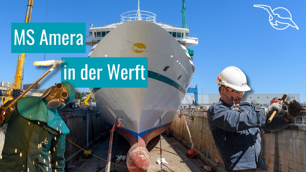 MS Amera Werft 2026 | Ein Blick hinter die Kulissen